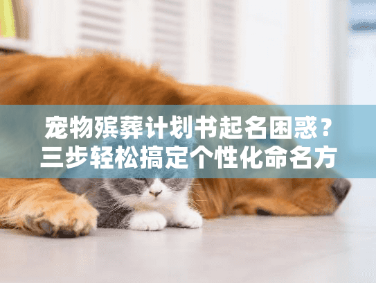 宠物殡葬计划书起名困惑？三步轻松搞定个性化命名方案