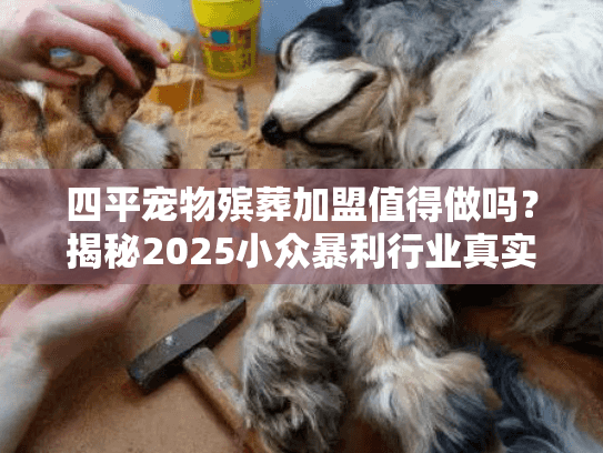 四平宠物殡葬加盟值得做吗？揭秘2025小众暴利行业真实案例与入行门槛