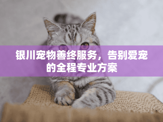 银川宠物善终服务，告别爱宠的全程专业方案