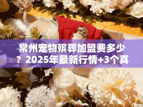 常州宠物殡葬加盟费多少？2025年最新行情+3个真实加盟案例揭秘