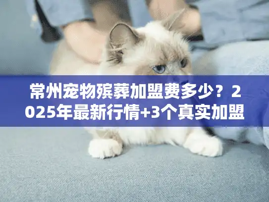 常州宠物殡葬加盟费多少？2025年最新行情+3个真实加盟案例揭秘