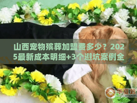 山西宠物殡葬加盟费多少?2025最新成本明细+3个避坑案例全公开! 山西宠物殡葬加盟费多少?2025最新成本明细+3个避坑案例全公开!