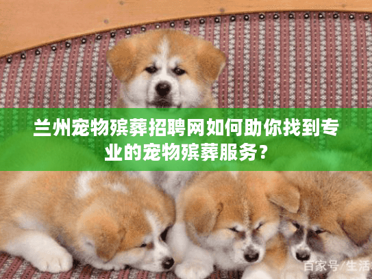 兰州宠物殡葬招聘网如何助你找到专业的宠物殡葬服务？