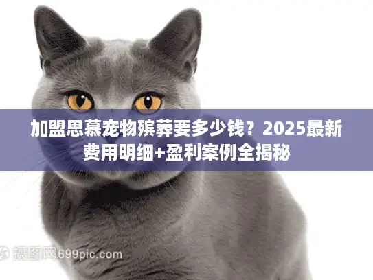 加盟思慕宠物殡葬要多少钱？2025最新费用明细+盈利案例全揭秘
