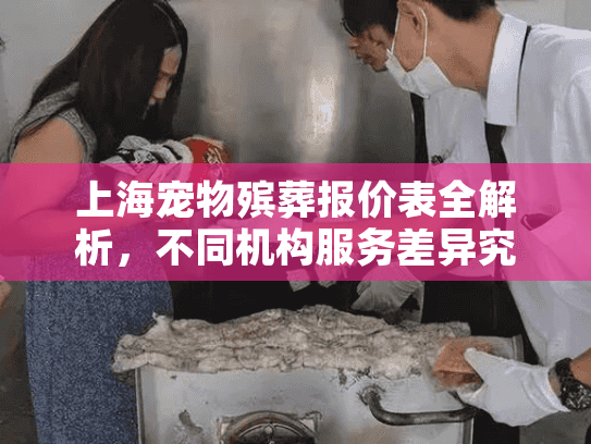 上海宠物殡葬报价表全解析，不同机构服务差异究竟多大？