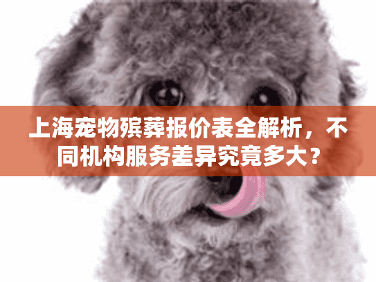上海宠物殡葬报价表全解析，不同机构服务差异究竟多大？