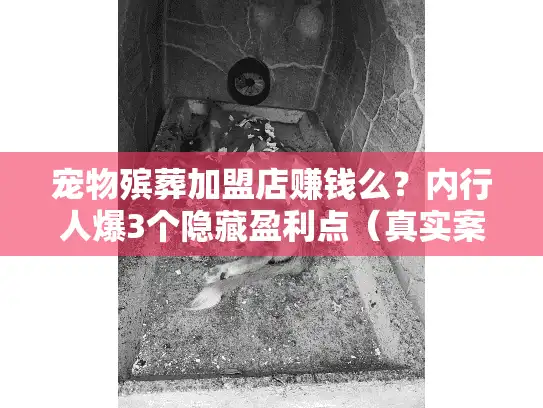 宠物殡葬加盟店赚钱么？内行人爆3个隐藏盈利点（真实案例+成本拆解）