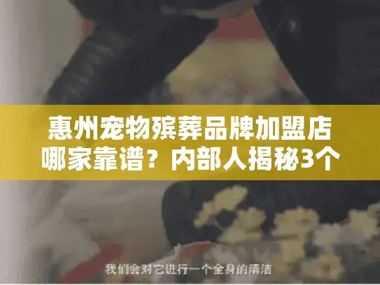 惠州宠物殡葬品牌加盟店哪家靠谱?内部人揭秘3个少有人知的筛选技巧 惠州宠物殡葬品牌加盟店哪家靠谱?内部人揭秘3个少有人知的筛选技巧