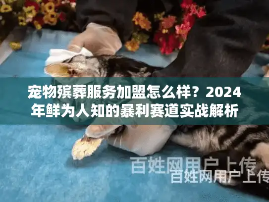 宠物殡葬服务加盟怎么样？2024年鲜为人知的暴利赛道实战解析