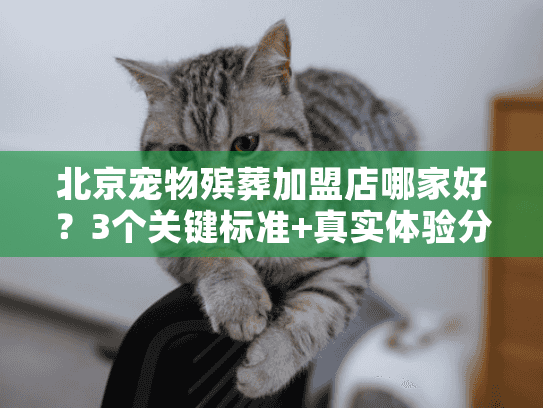 北京宠物殡葬加盟店哪家好?3个关键标准+真实体验分享 北京宠物殡葬加盟店哪家好?3个关键标准+真实体验分享