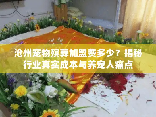 沧州宠物殡葬加盟费多少？揭秘行业真实成本与养宠人痛点
