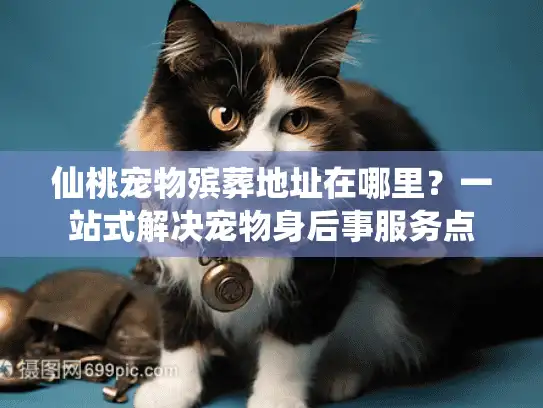 仙桃宠物殡葬地址在哪里？一站式解决宠物身后事服务点