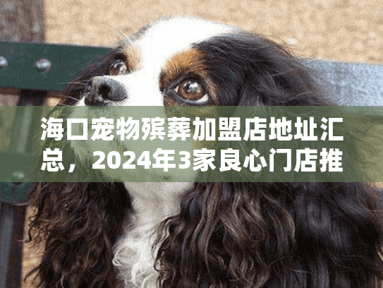 海口宠物殡葬加盟店地址汇总,2024年3家良心门店推荐(附服务细节) 海口宠物殡葬加盟店地址汇总,2024年3家良心门店推荐(附服务细节)