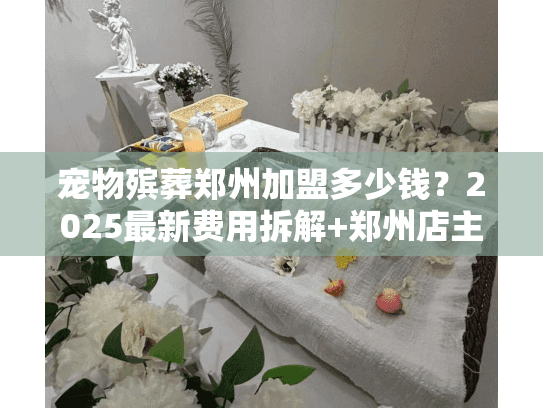 宠物殡葬郑州加盟多少钱？2025最新费用拆解+郑州店主实战案例