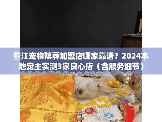 鳌江宠物殡葬加盟店哪家靠谱？2024本地宠主实测3家良心店（含服务细节）