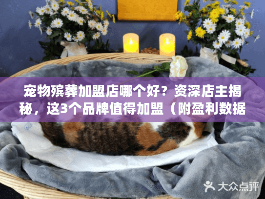 宠物殡葬加盟店哪个好？资深店主揭秘，这3个品牌值得加盟（附盈利数据）