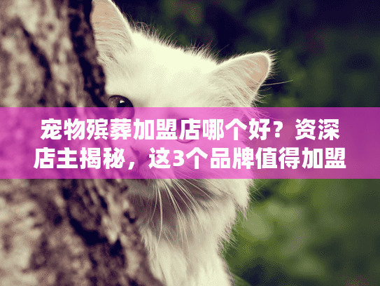 宠物殡葬加盟店哪个好？资深店主揭秘，这3个品牌值得加盟（附盈利数据）