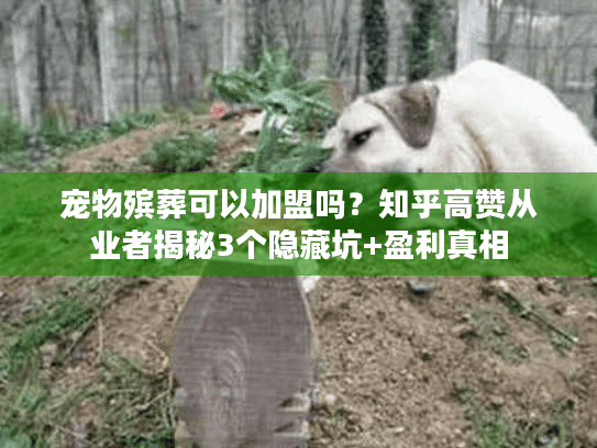 宠物殡葬可以加盟吗?知乎高赞从业者揭秘3个隐藏坑+盈利真相 宠物殡葬可以加盟吗?知乎高赞从业者揭秘3个隐藏坑+盈利真相