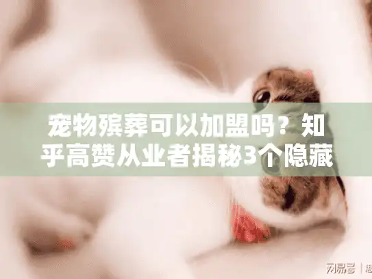 宠物殡葬可以加盟吗?知乎高赞从业者揭秘3个隐藏坑+盈利真相 宠物殡葬可以加盟吗?知乎高赞从业者揭秘3个隐藏坑+盈利真相