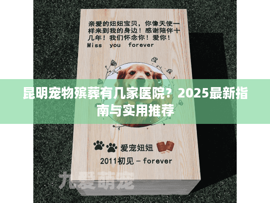 昆明宠物殡葬有几家医院？2025最新指南与实用推荐