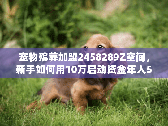 宠物殡葬加盟2458289Z空间，新手如何用10万启动资金年入50万？3个关键步骤曝光！