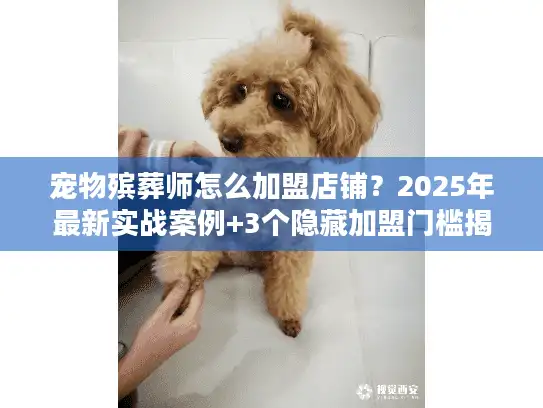 宠物殡葬师怎么加盟店铺？2025年最新实战案例+3个隐藏加盟门槛揭秘