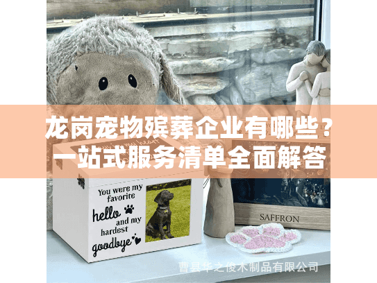 龙岗宠物殡葬企业有哪些？一站式服务清单全面解答