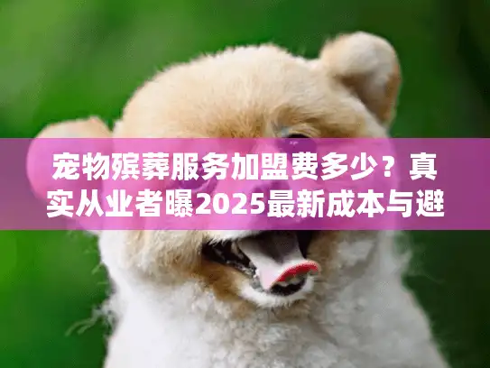 宠物殡葬服务加盟费多少?真实从业者曝2025最新成本与避坑真相 宠物殡葬服务加盟费多少?真实从业者曝2025最新成本与避坑真相
