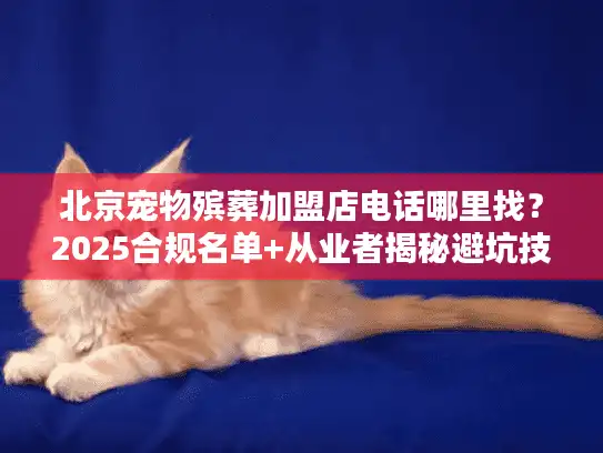北京宠物殡葬加盟店电话哪里找？2025合规名单+从业者揭秘避坑技巧