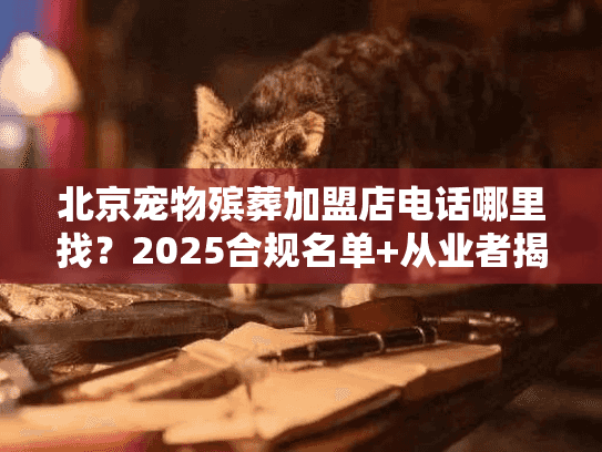 北京宠物殡葬加盟店电话哪里找？2025合规名单+从业者揭秘避坑技巧