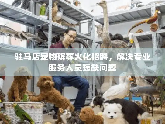 驻马店宠物殡葬火化招聘，解决专业服务人员短缺问题