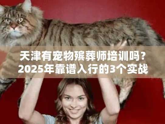 天津有宠物殡葬师培训吗？2025年靠谱入行的3个实战渠道