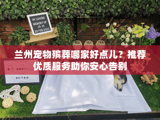 兰州宠物殡葬哪家好点儿？推荐优质服务助你安心告别