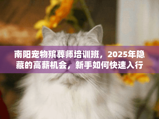 南阳宠物殡葬师培训班，2025年隐藏的高薪机会，新手如何快速入行？