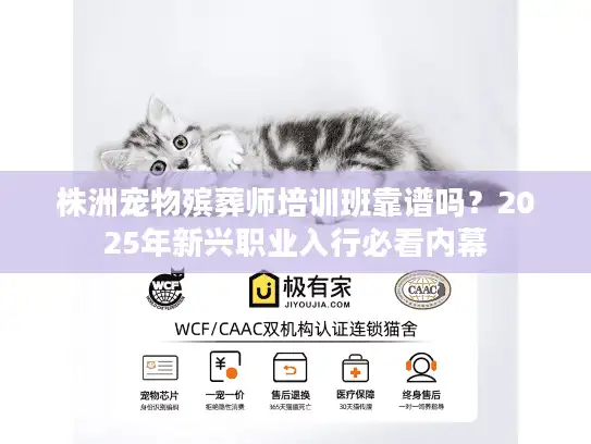 株洲宠物殡葬师培训班靠谱吗？2025年新兴职业入行必看内幕