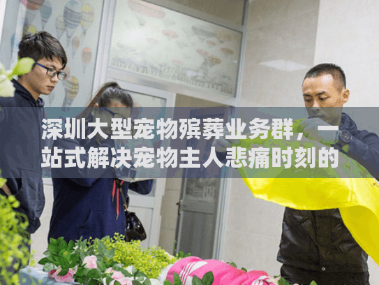 深圳大型宠物殡葬业务群，一站式解决宠物主人悲痛时刻的专业方案