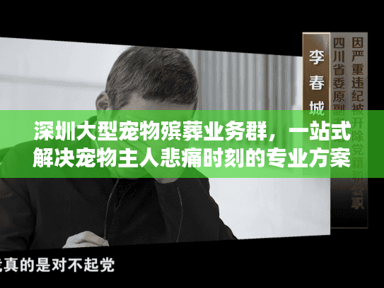 深圳大型宠物殡葬业务群，一站式解决宠物主人悲痛时刻的专业方案