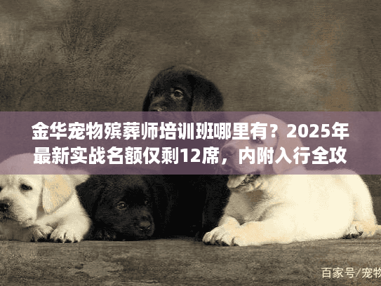 金华宠物殡葬师培训班哪里有？2025年最新实战名额仅剩12席，内附入行全攻略