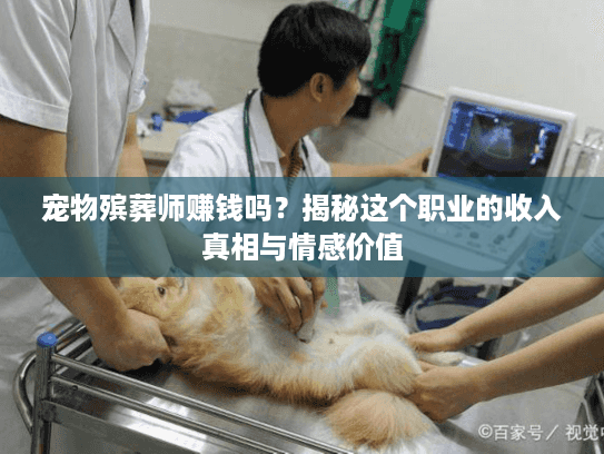 宠物殡葬师赚钱吗？揭秘这个职业的收入真相与情感价值