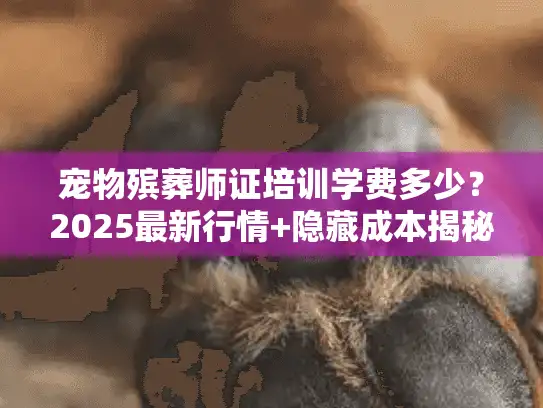 宠物殡葬师证培训学费多少？2025最新行情+隐藏成本揭秘（内附补贴申请攻略）