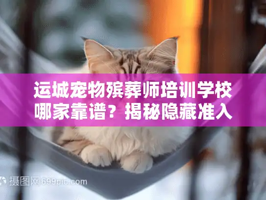 运城宠物殡葬师培训学校哪家靠谱？揭秘隐藏准入条件与实战案例