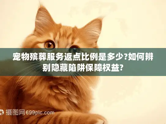 宠物殡葬服务返点比例是多少?如何辨别隐藏陷阱保障权益?