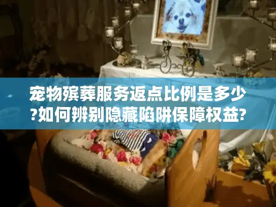 宠物殡葬服务返点比例是多少?如何辨别隐藏陷阱保障权益?