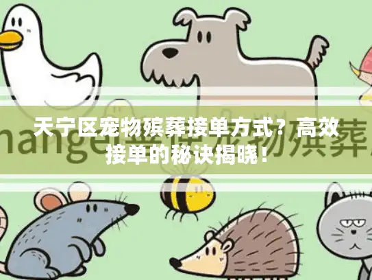 天宁区宠物殡葬接单方式?高效接单的秘诀揭晓! 天宁区宠物殡葬接单方式?高效接单的秘诀揭晓!