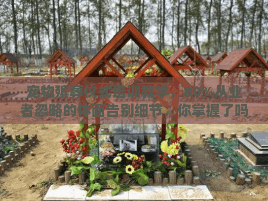 宠物殡葬仪式培训教学，80%从业者忽略的体面告别细节，你掌握了吗？