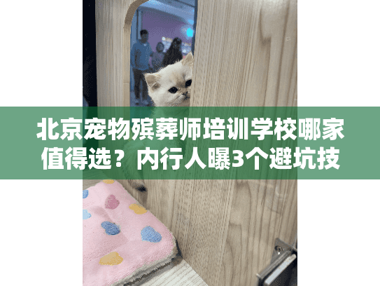 北京宠物殡葬师培训学校哪家值得选？内行人曝3个避坑技巧+真实就业案例