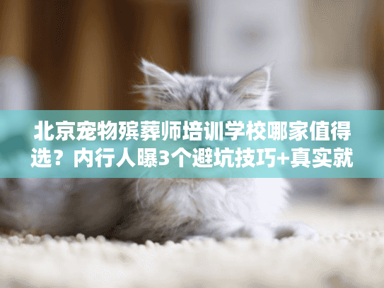 北京宠物殡葬师培训学校哪家值得选？内行人曝3个避坑技巧+真实就业案例