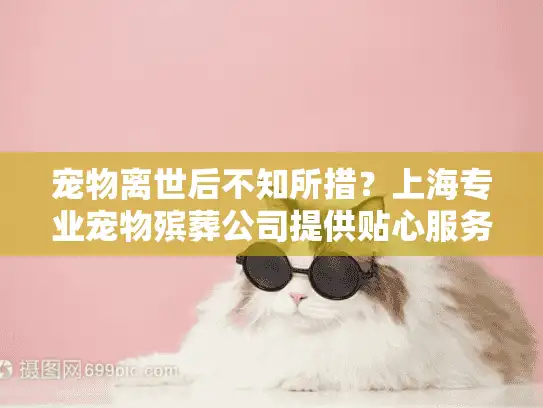 宠物离世后不知所措？上海专业宠物殡葬公司提供贴心服务
