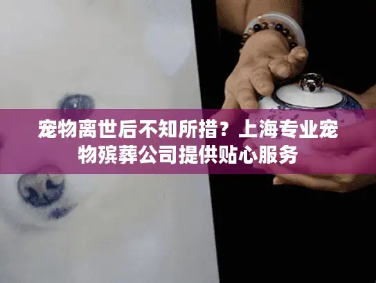 宠物离世后不知所措？上海专业宠物殡葬公司提供贴心服务