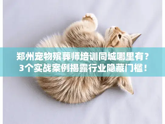 郑州宠物殡葬师培训同城哪里有？3个实战案例揭露行业隐藏门槛！